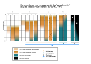 classif_hydromorphie